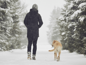 Hoe lang mag een hond in de sneeuw lopen?
