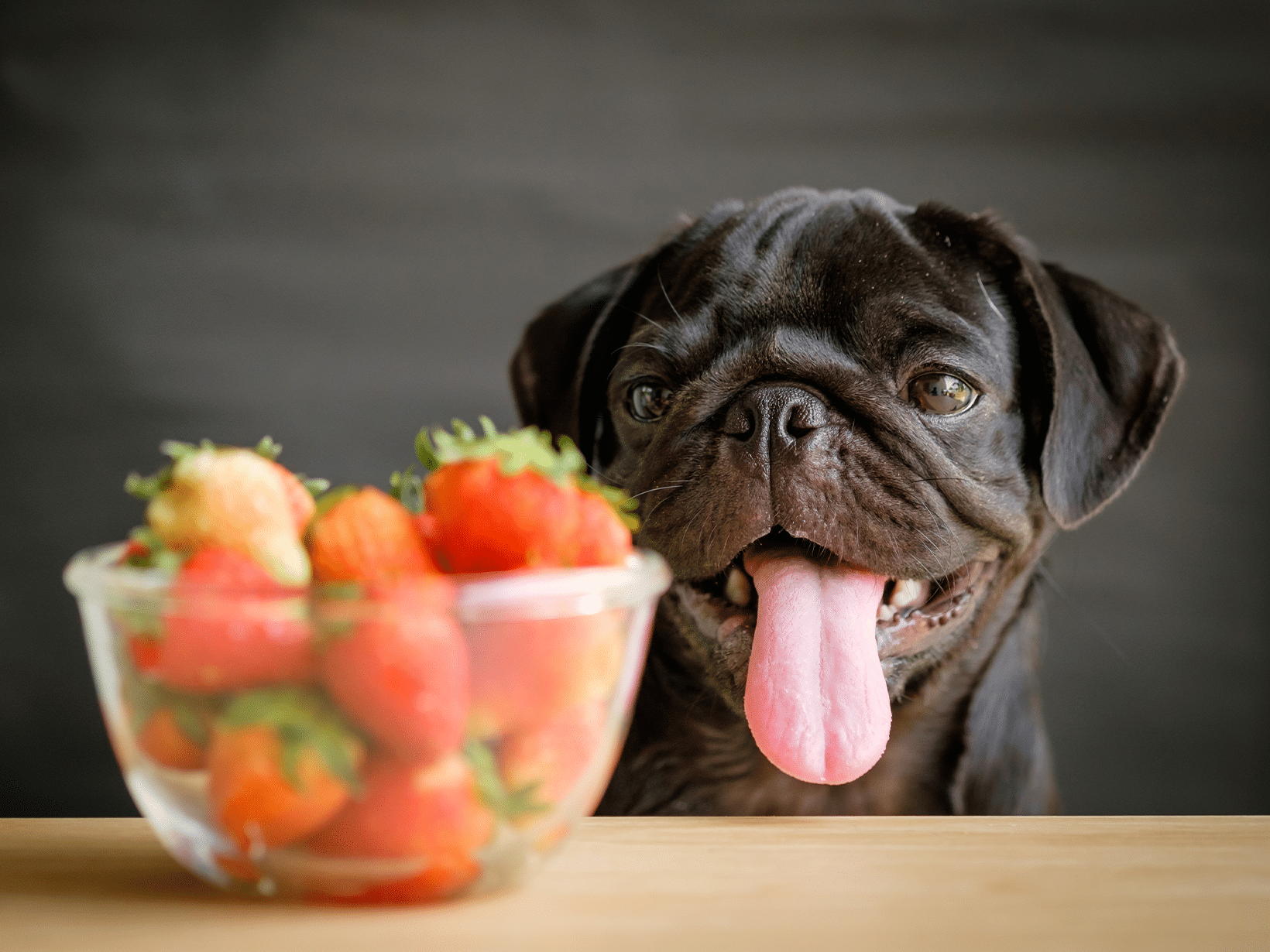 Mag een hond aardbeien?