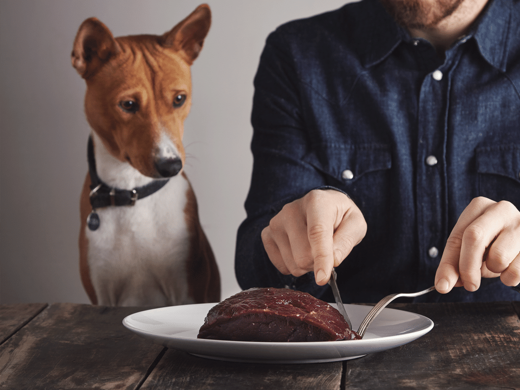 Mag een hond biefstuk eten? Voedingsadviezen & tips