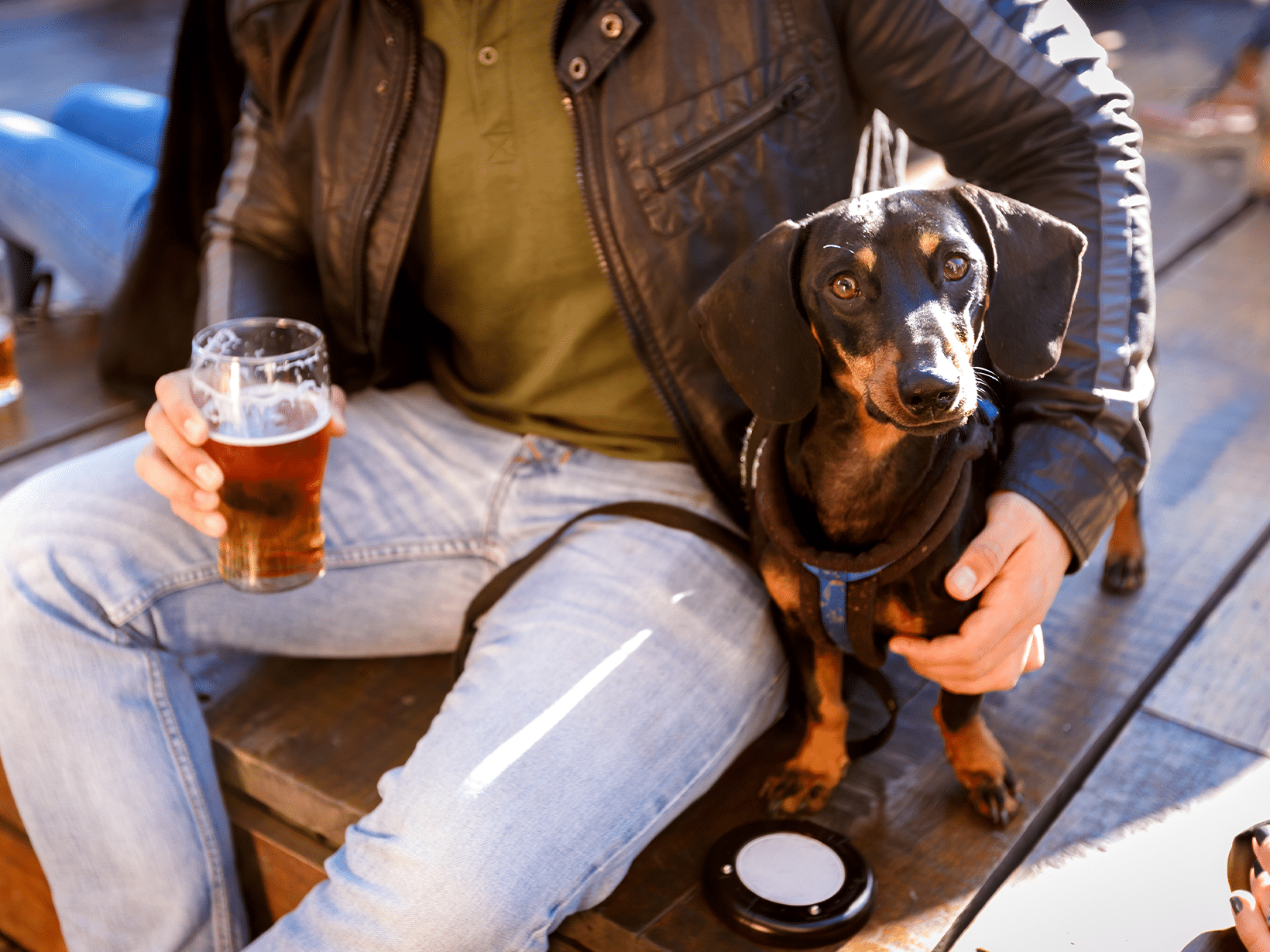 Mag een hond bier?