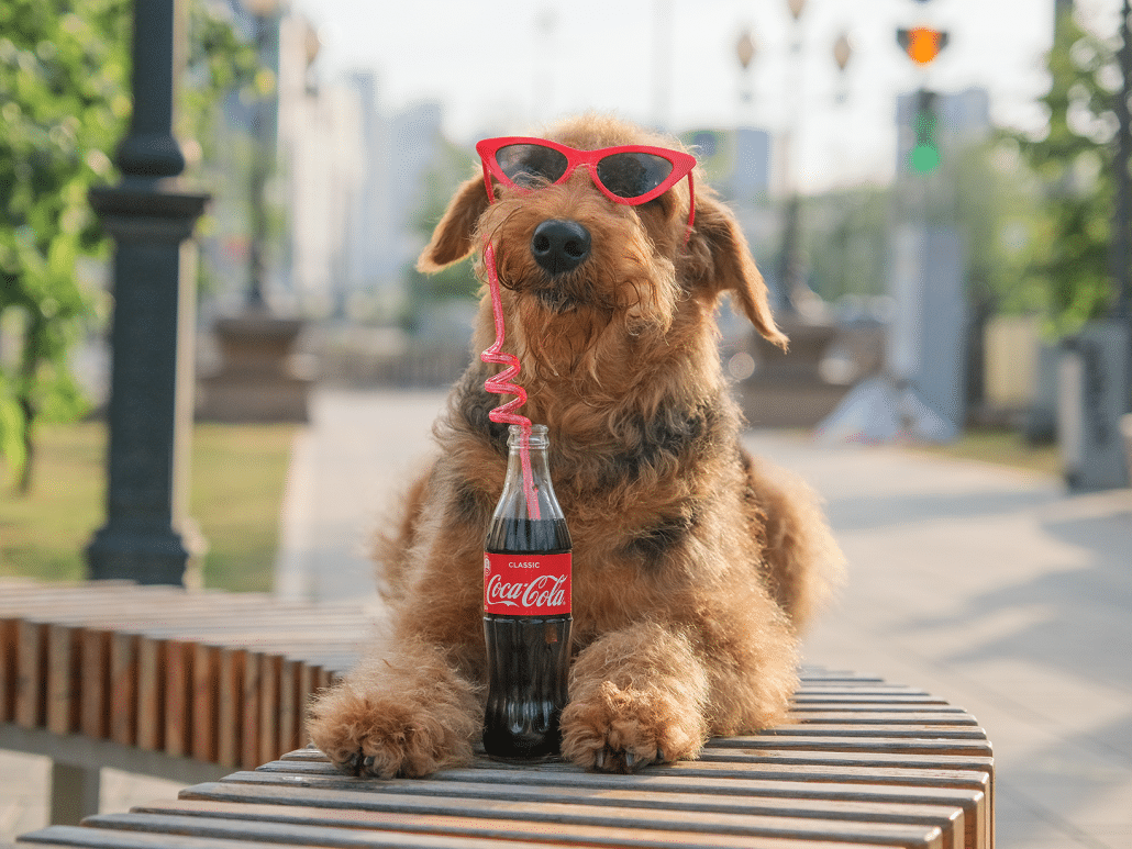 Mag een hond cola drinken? Vind het antwoord hier!