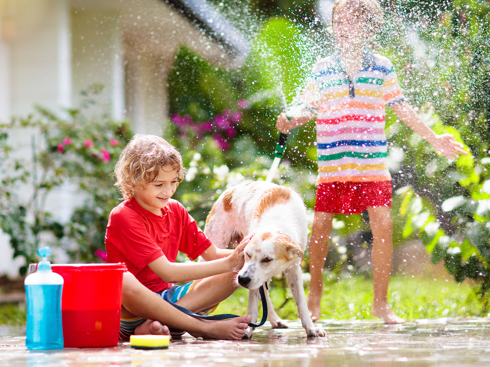 Mag je een hond nat maken bij warm weer?