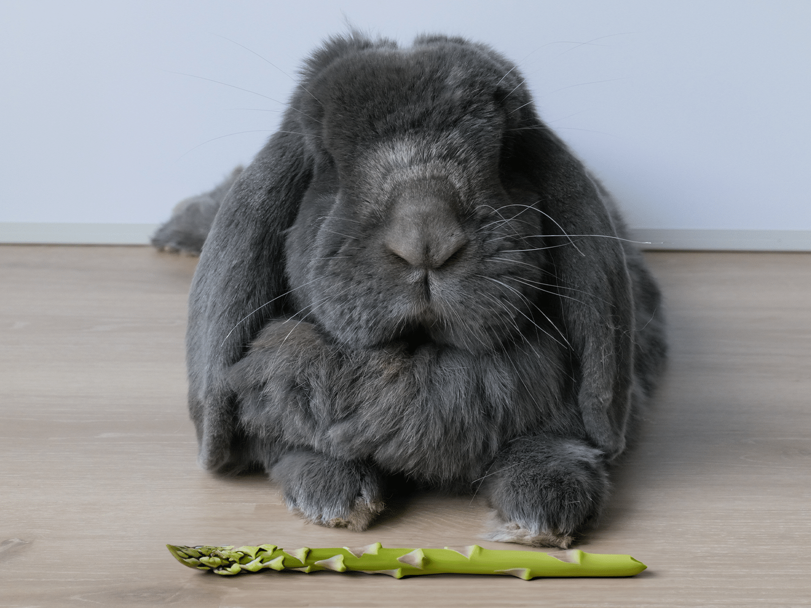 Mag een konijn groene asperges?