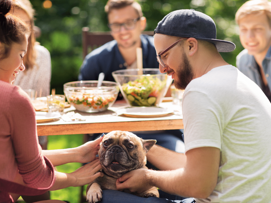 Hond met de pot mee eten? Lees hier wat wel en niet mag!