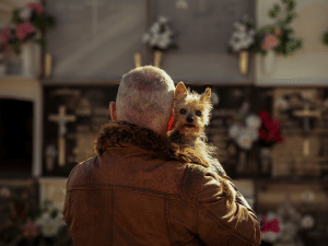 Mag een hond op het kerkhof?