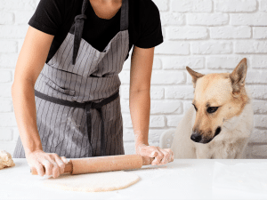 Mag een hond in de bakker?