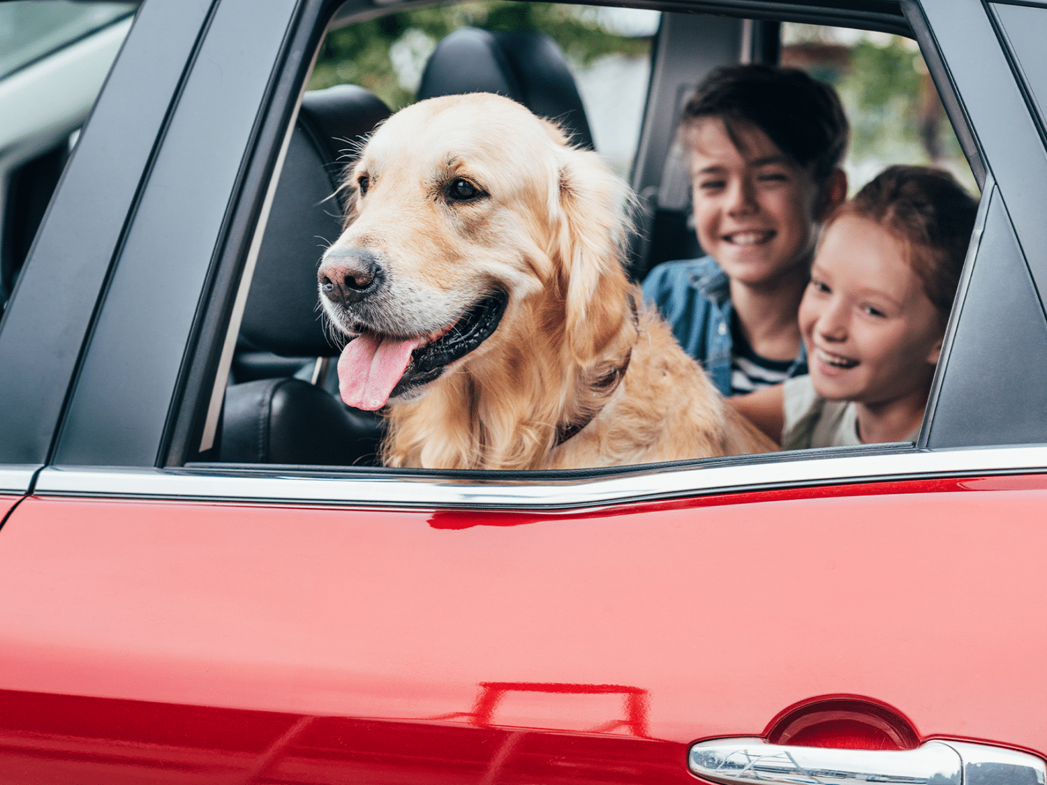 Mag een hond mee naar LEGOLAND Denemarken?