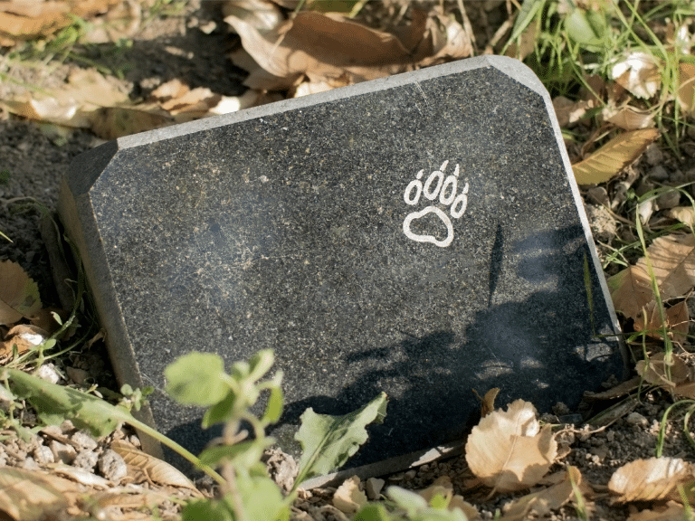 Mag je een hond begraven in de tuin? Lees de regels hier!