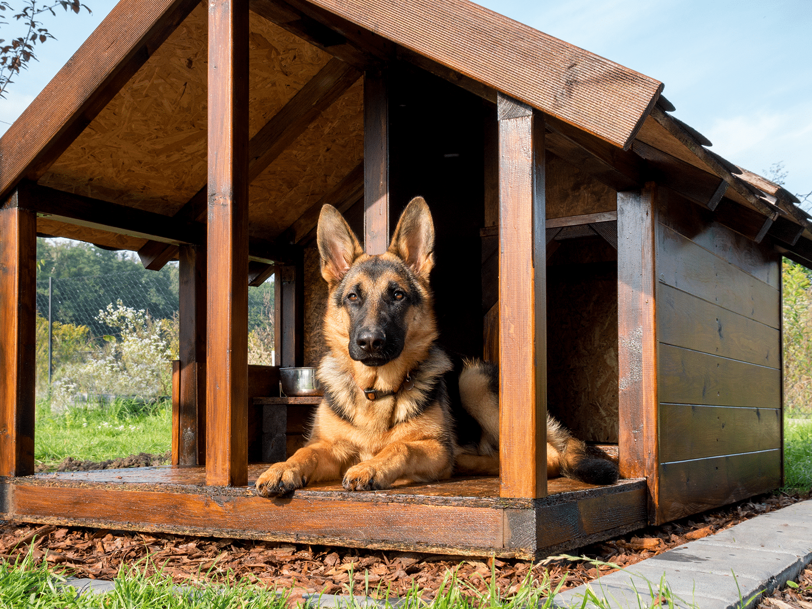 Mag je een hond buiten houden