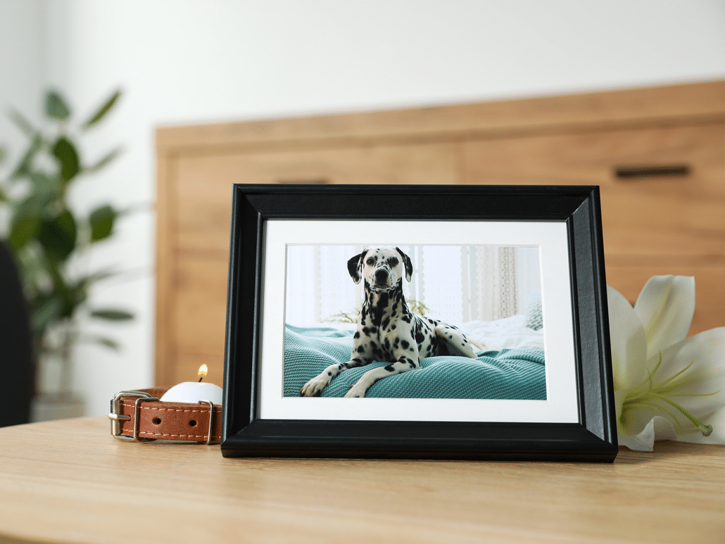 Mag je je hond zelf begraven? Lees de regels hier!