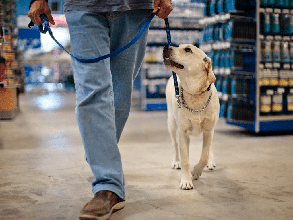 Mag je met een hond in de winkel? Lees de regels hier!