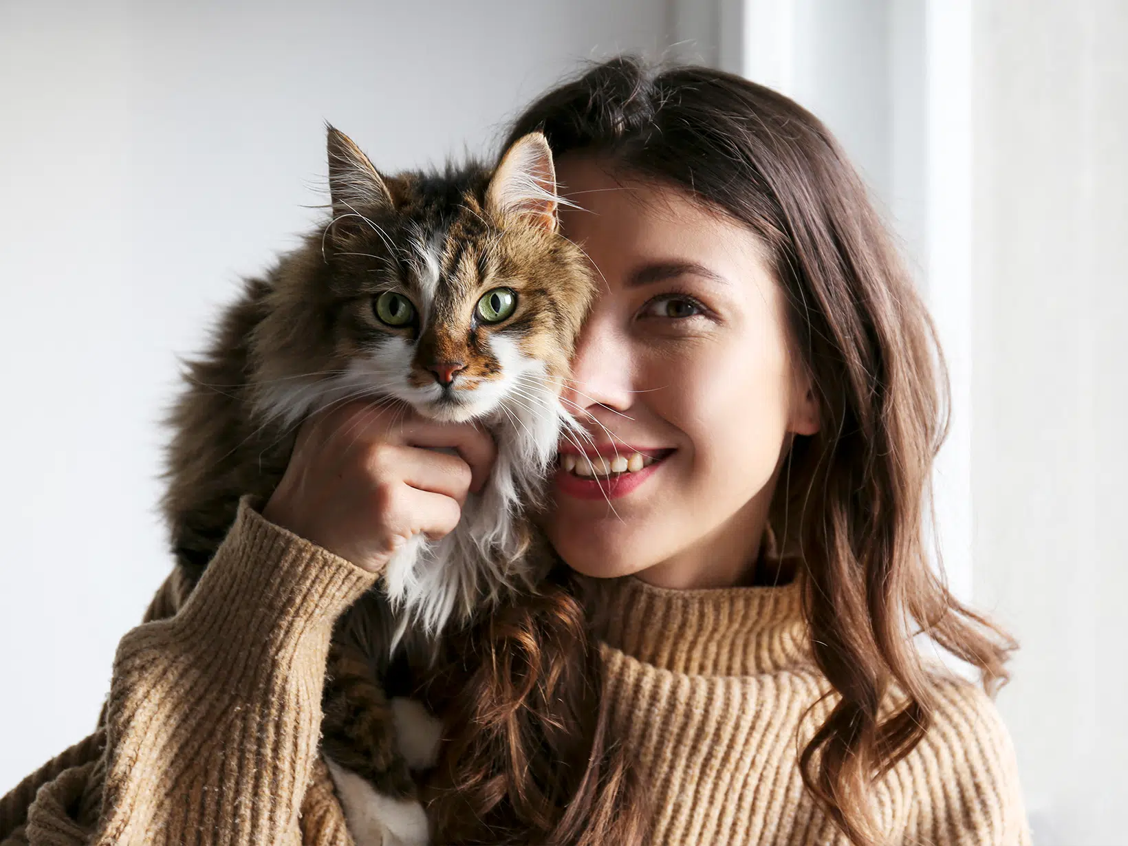 Waarom bijt een kat in je haar?