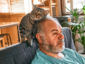 Waarom ligt een kat bij je hoofd?