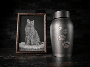 Wat zijn de crematiekosten voor een kat?