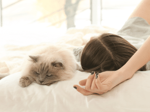 Waarom slaapt een kat bij je