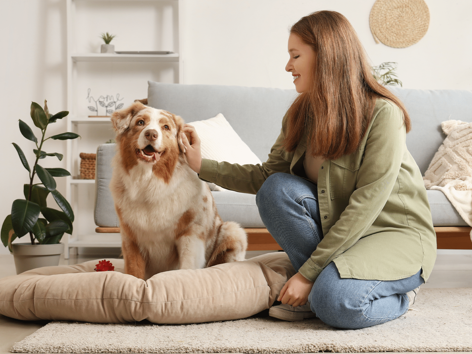 Waarom een hond als huisdier?