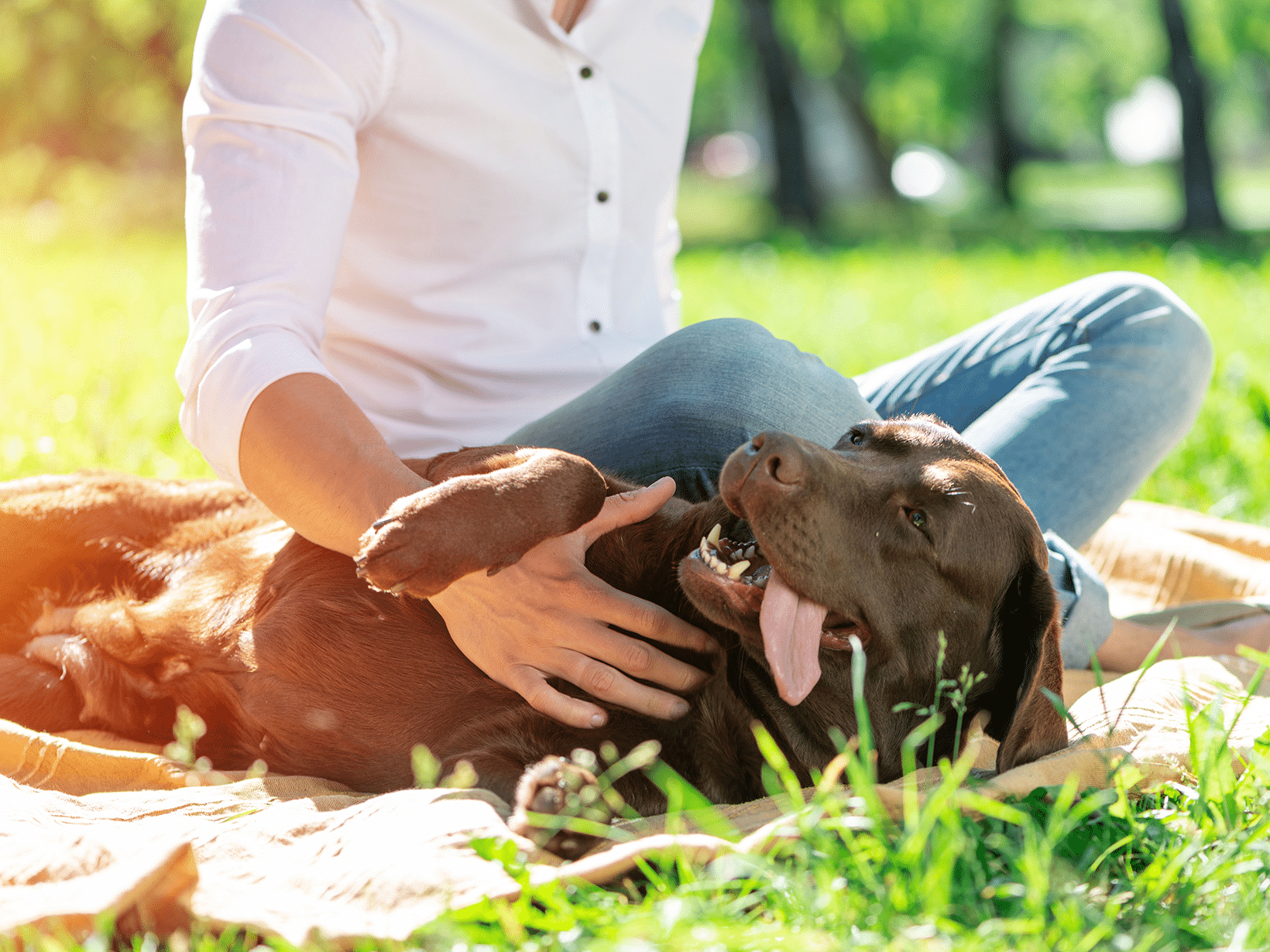 Waarom gaat een hond tegen je aan liggen?