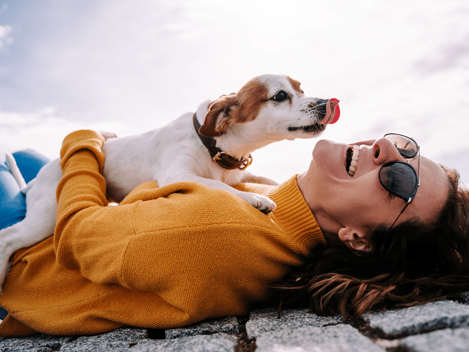 Waarom likt een hond je?