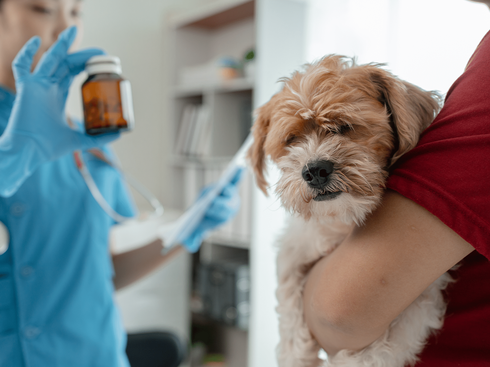 Kosten medicijnen ziekte van Cushing hond