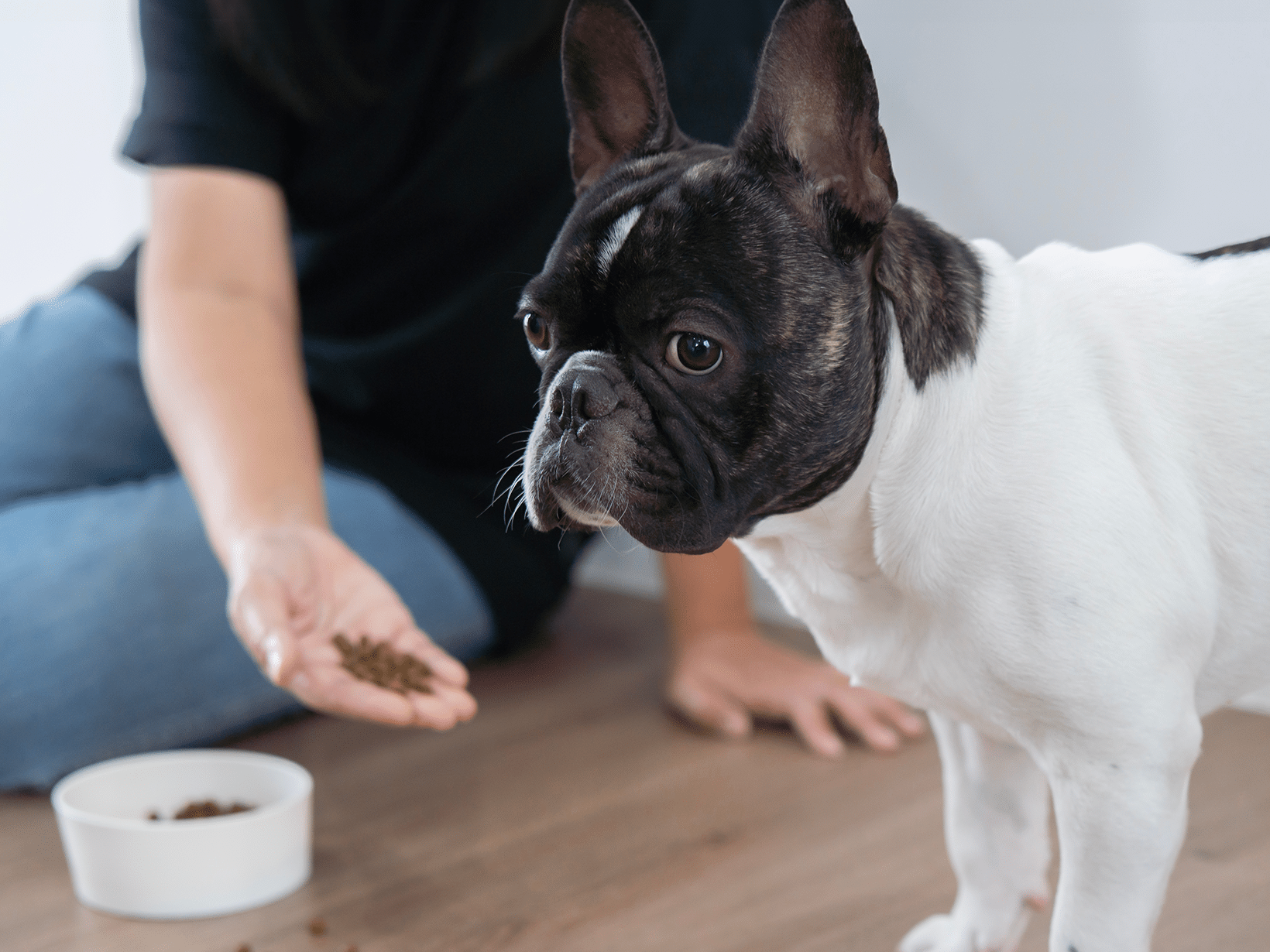 Waarom eet en drinkt mijn hond niet meer?