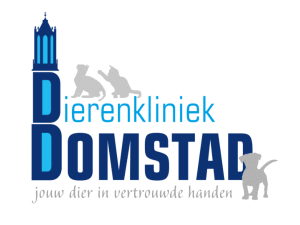 Dierenkliniek Domstad